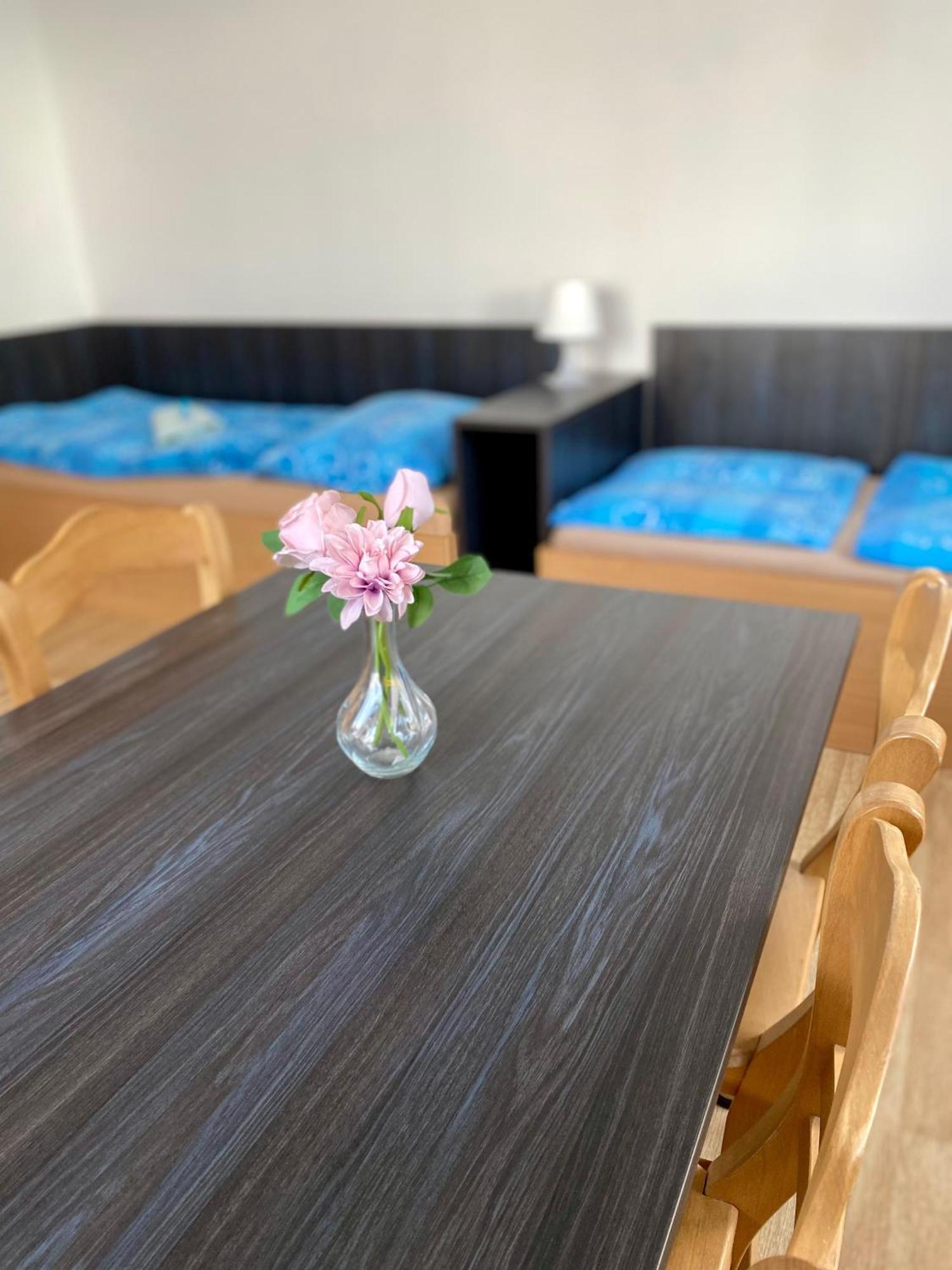 U Koupaliste Apartment